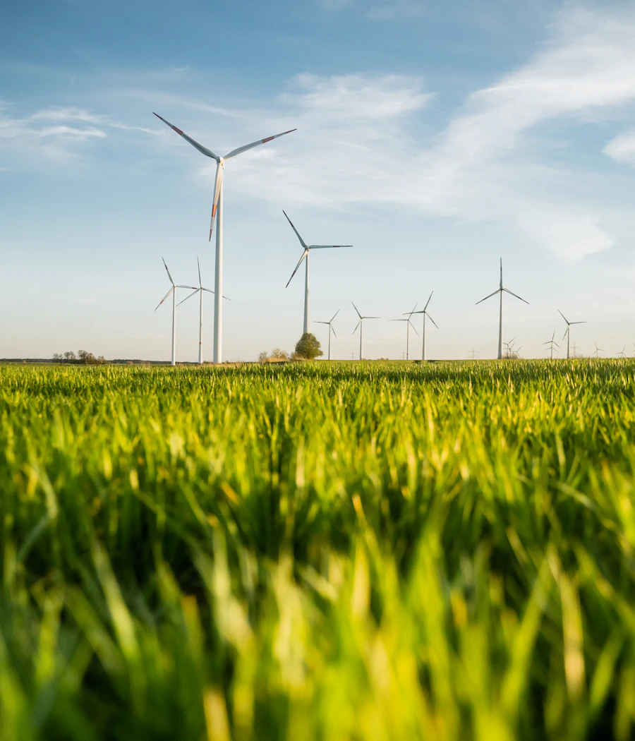 Windturbines in een groen landbouwlandschap